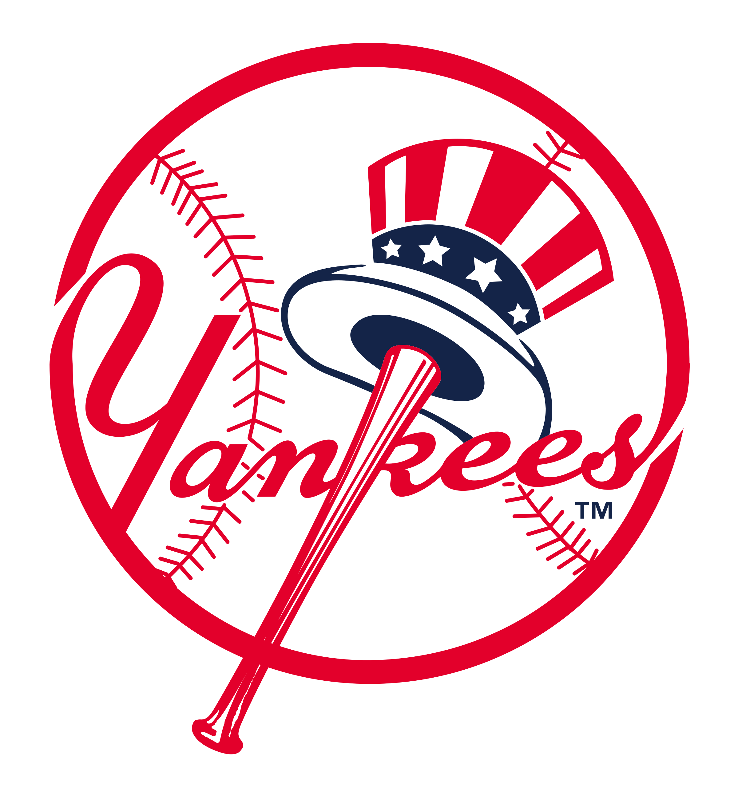 team logo